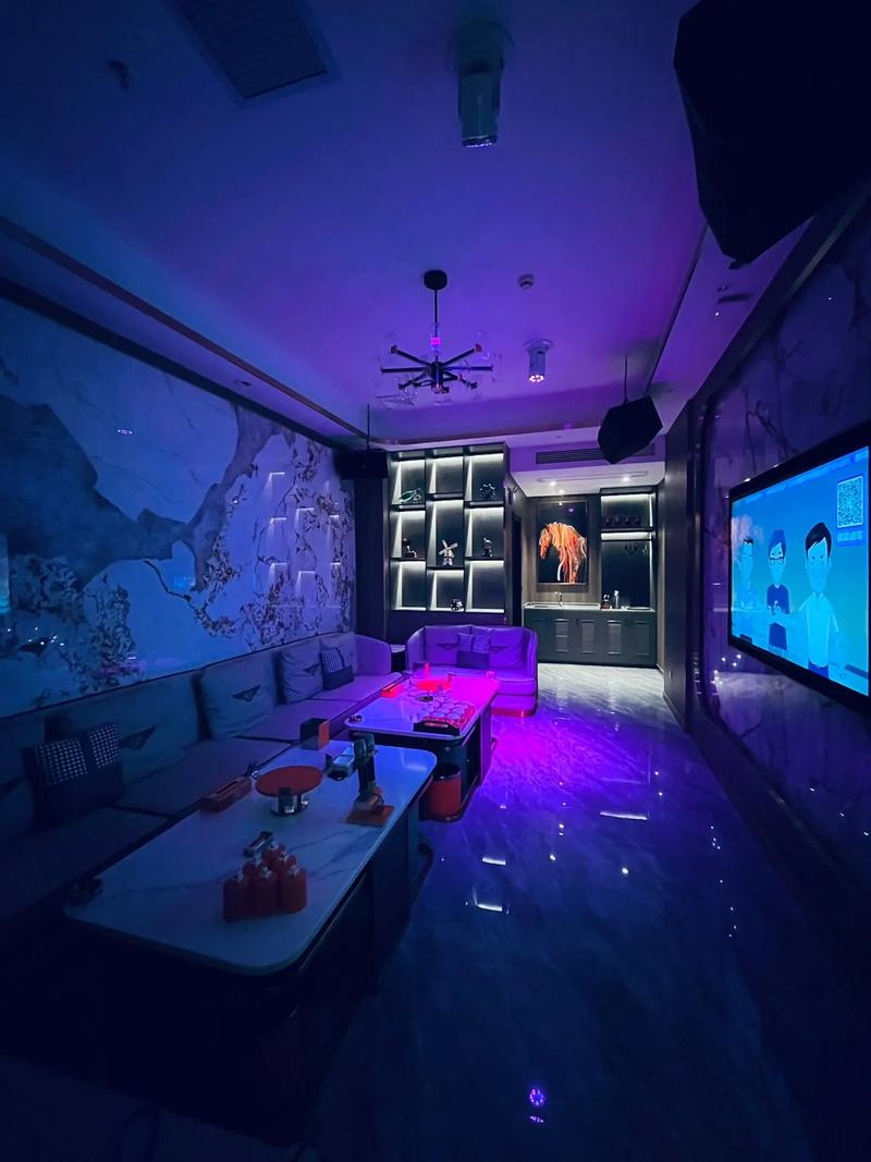 盐城商务ktv，体验商务娱乐新风尚-滨海县ktv预订